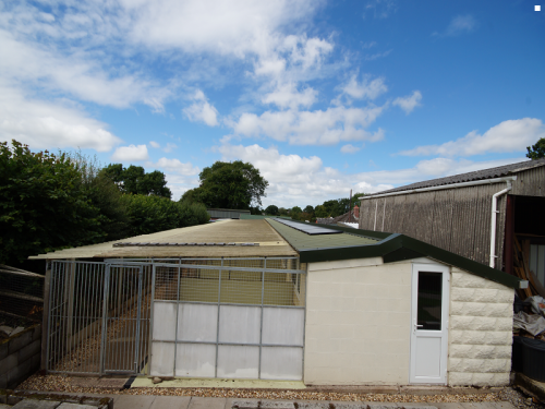 West end clearance kennels stowmarket